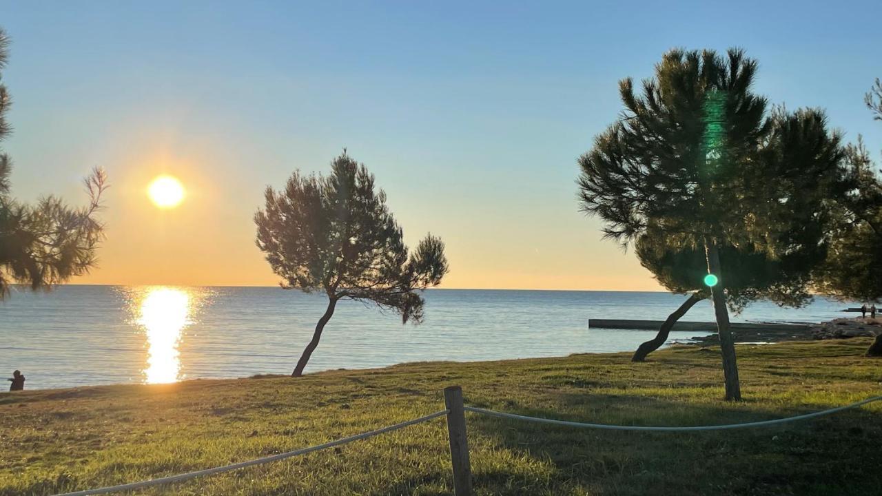 Iva Apartments Novigrad Istria المظهر الخارجي الصورة