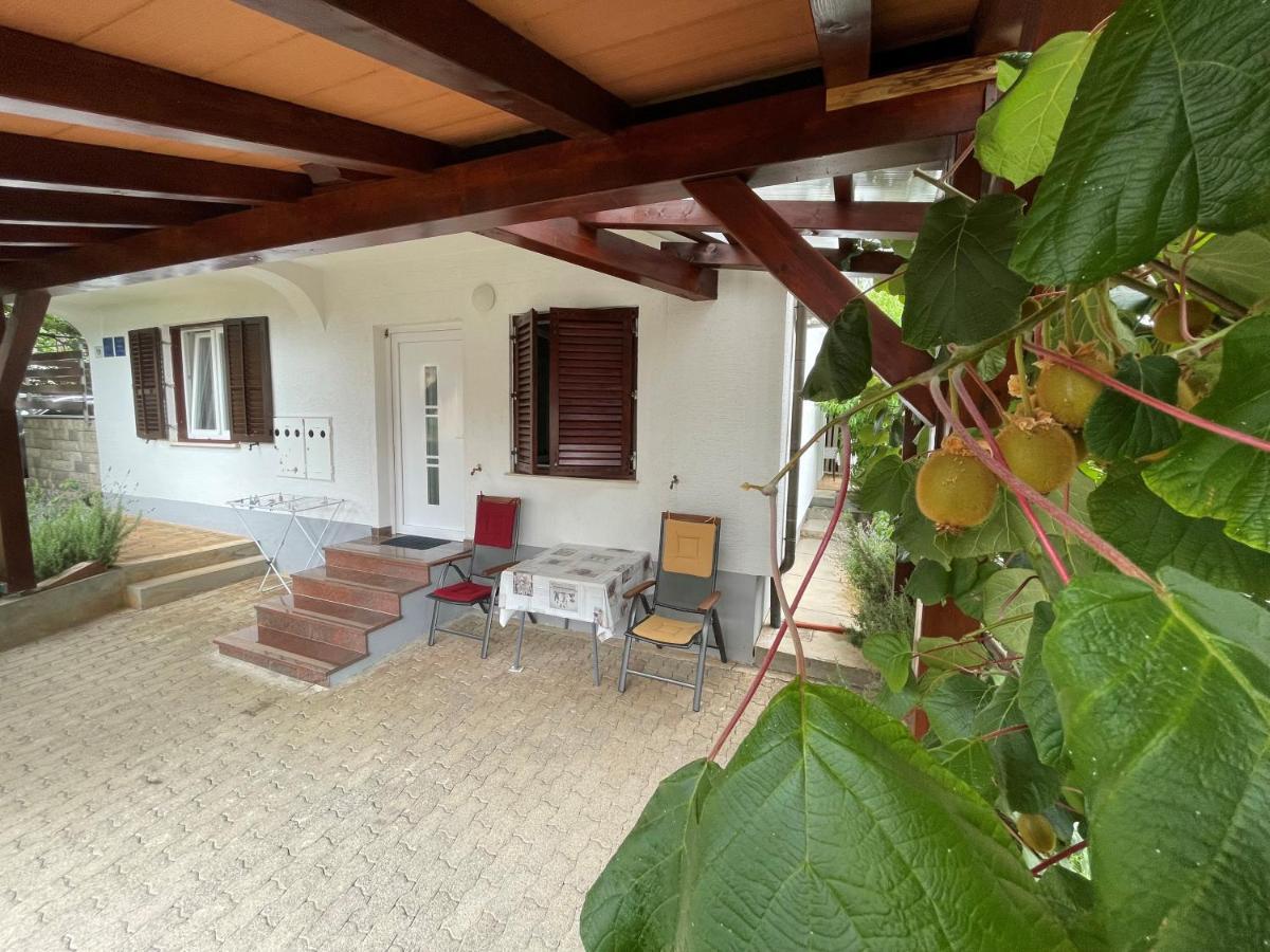 Iva Apartments Novigrad Istria المظهر الخارجي الصورة