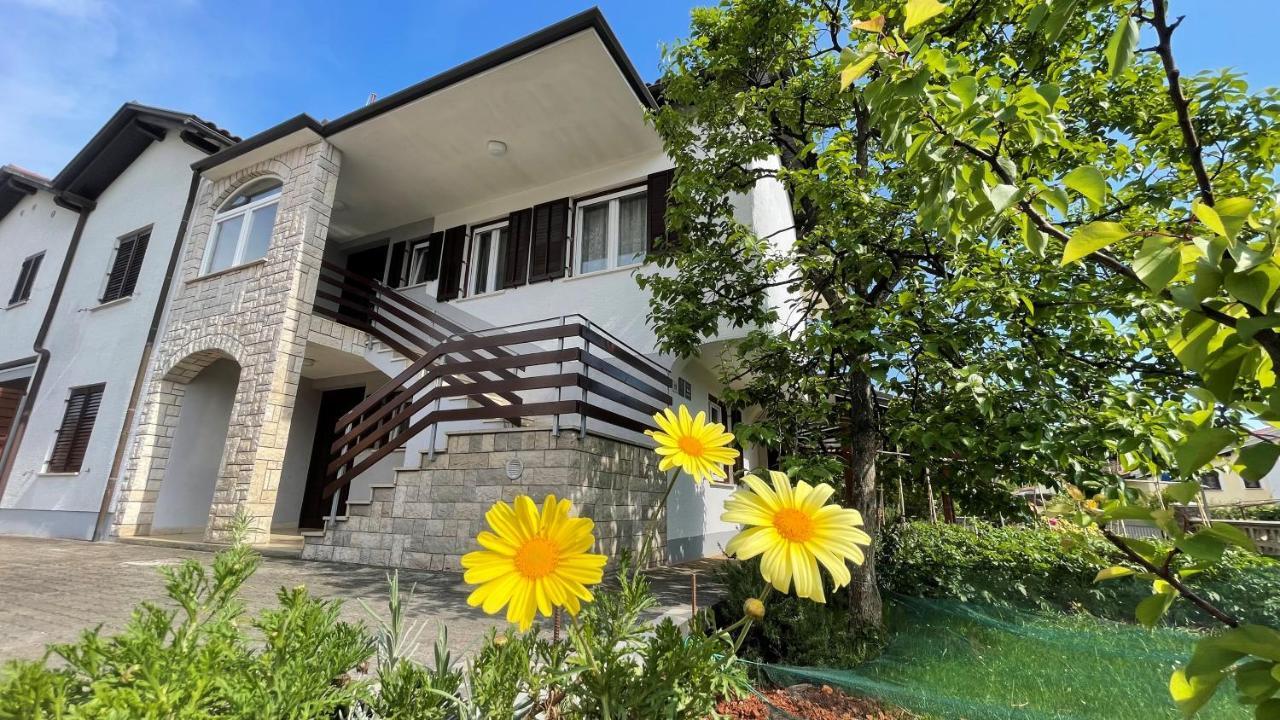 Iva Apartments Novigrad Istria المظهر الخارجي الصورة