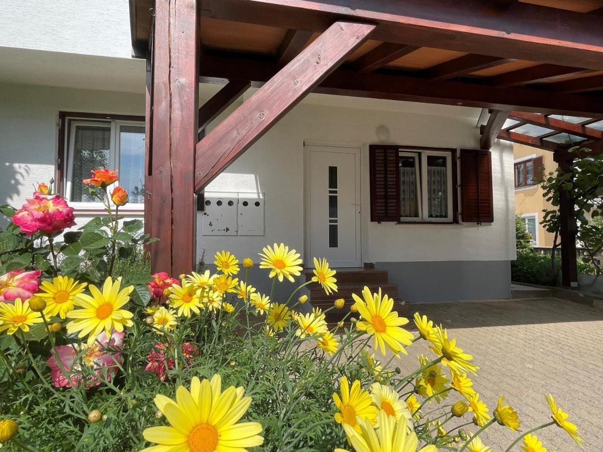 Iva Apartments Novigrad Istria المظهر الخارجي الصورة